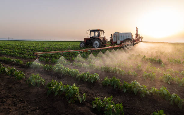 Best Commercial Pest Control Services  in Sonterra, TX