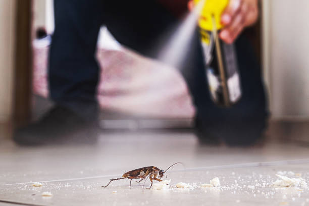 Best Pest Control for Restaurants  in Sonterra, TX