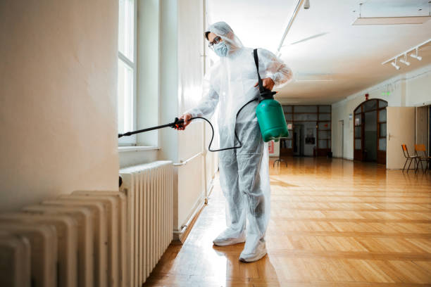 Best Ant Control Services  in Sonterra, TX